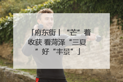 府东街丨“芒”着收获 看菏泽“三夏”好“丰景”